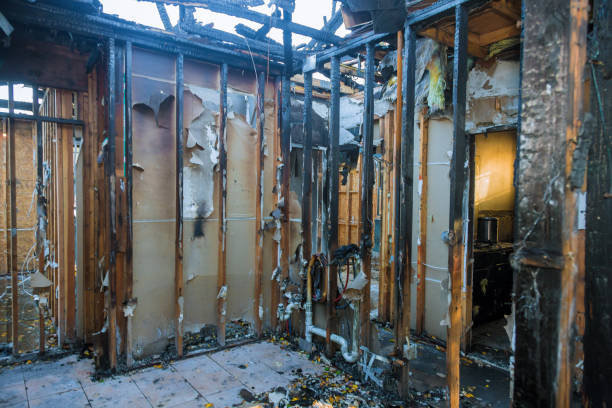Professional Fire Damage Restoration technician working in Brown City, MI